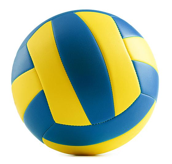 Dieses Bild zeigt einen Volleyball