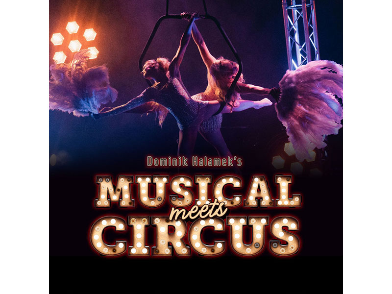 Musical meets Circus